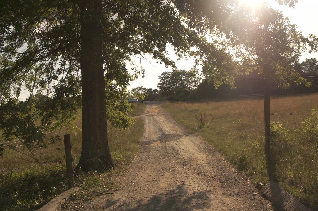 The road leading to your freelance writing dreams.